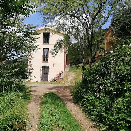 Stellaria Casa Vacanze In Montagna Panorama Stupendo Sardegna Seùlo エクステリア 写真