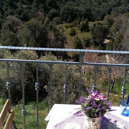 Stellaria Casa Vacanze In Montagna Panorama Stupendo Sardegna Seùlo エクステリア 写真