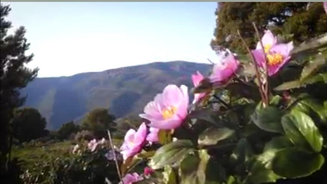 Stellaria Casa Vacanze In Montagna Panorama Stupendo Sardegna Seùlo エクステリア 写真