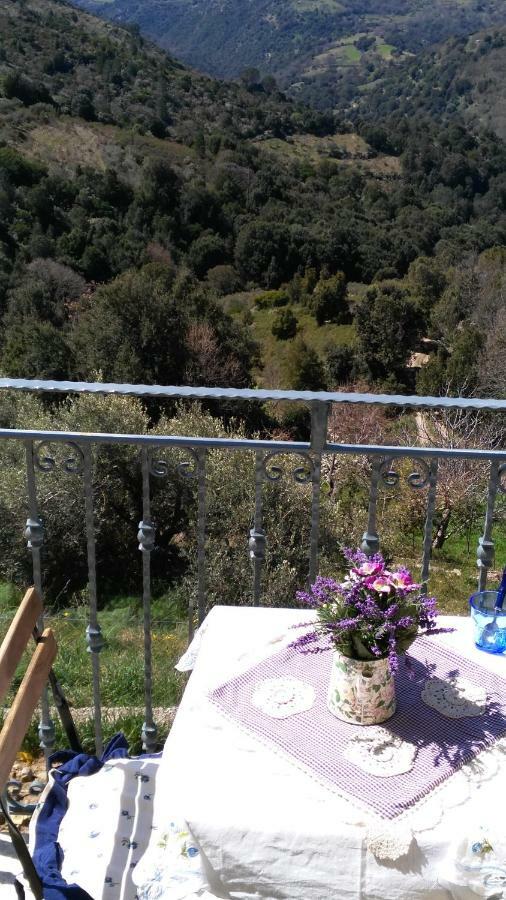 Stellaria Casa Vacanze In Montagna Panorama Stupendo Sardegna Seùlo エクステリア 写真