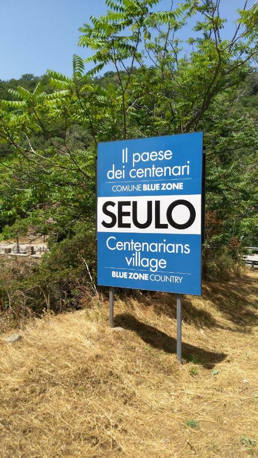 Stellaria Casa Vacanze In Montagna Panorama Stupendo Sardegna Seùlo エクステリア 写真