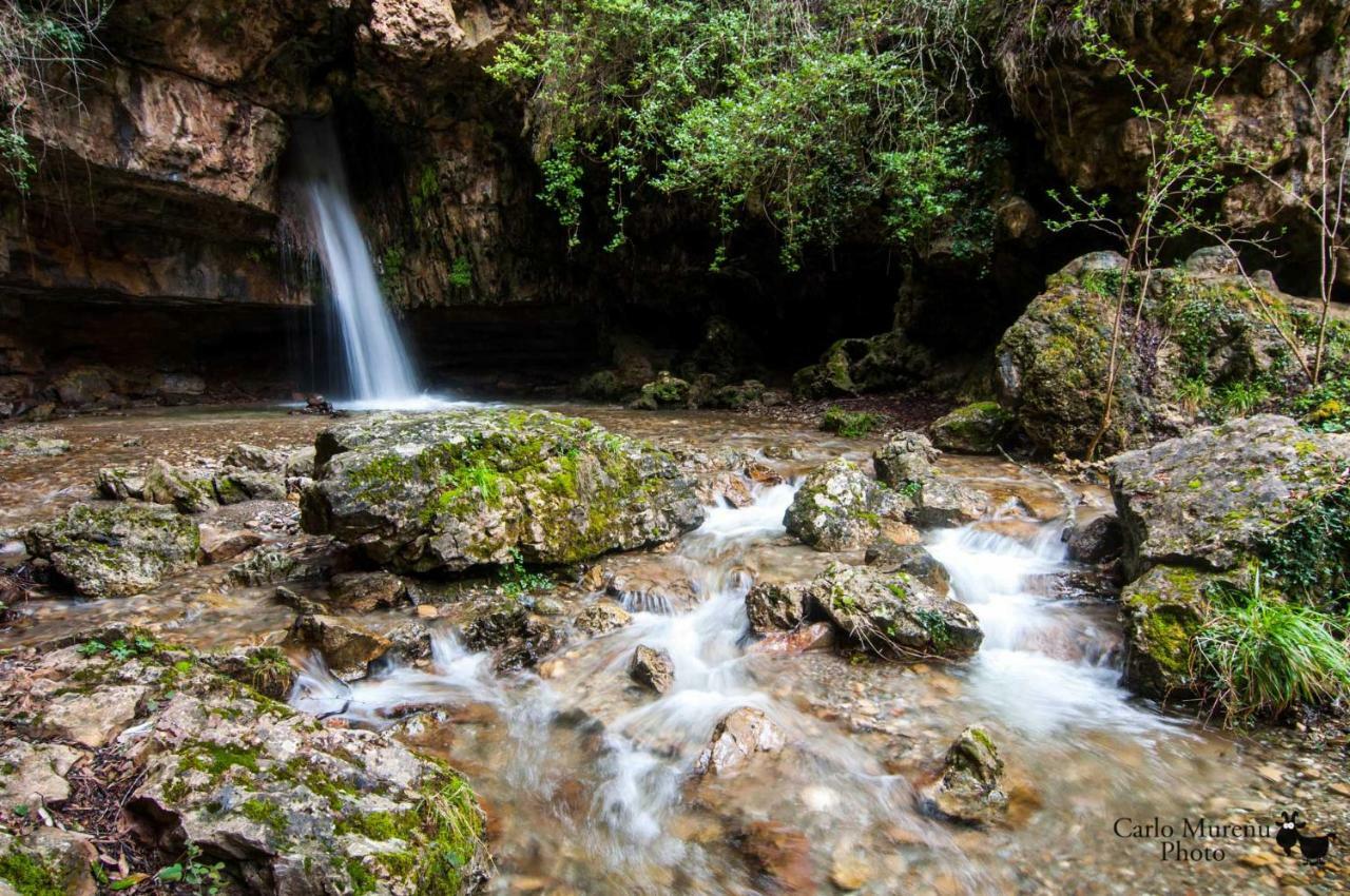 Stellaria Casa Vacanze In Montagna Panorama Stupendo Sardegna Seùlo エクステリア 写真