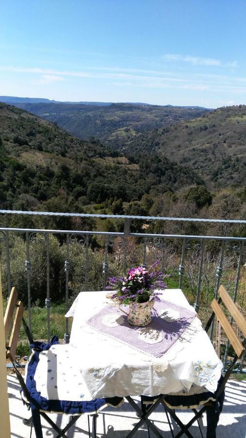 Stellaria Casa Vacanze In Montagna Panorama Stupendo Sardegna Seùlo エクステリア 写真