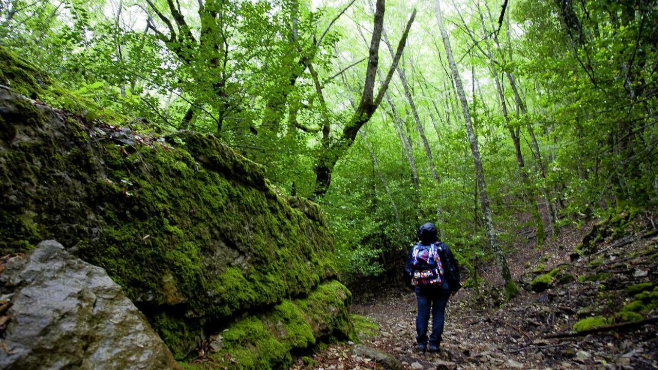Stellaria Casa Vacanze In Montagna Panorama Stupendo Sardegna Seùlo エクステリア 写真